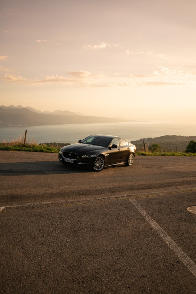 Jaguar with amazing view